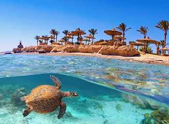 La sérénité des plages et des vastes lagons