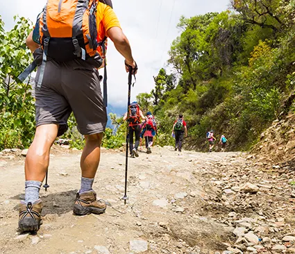 Trekking en foret