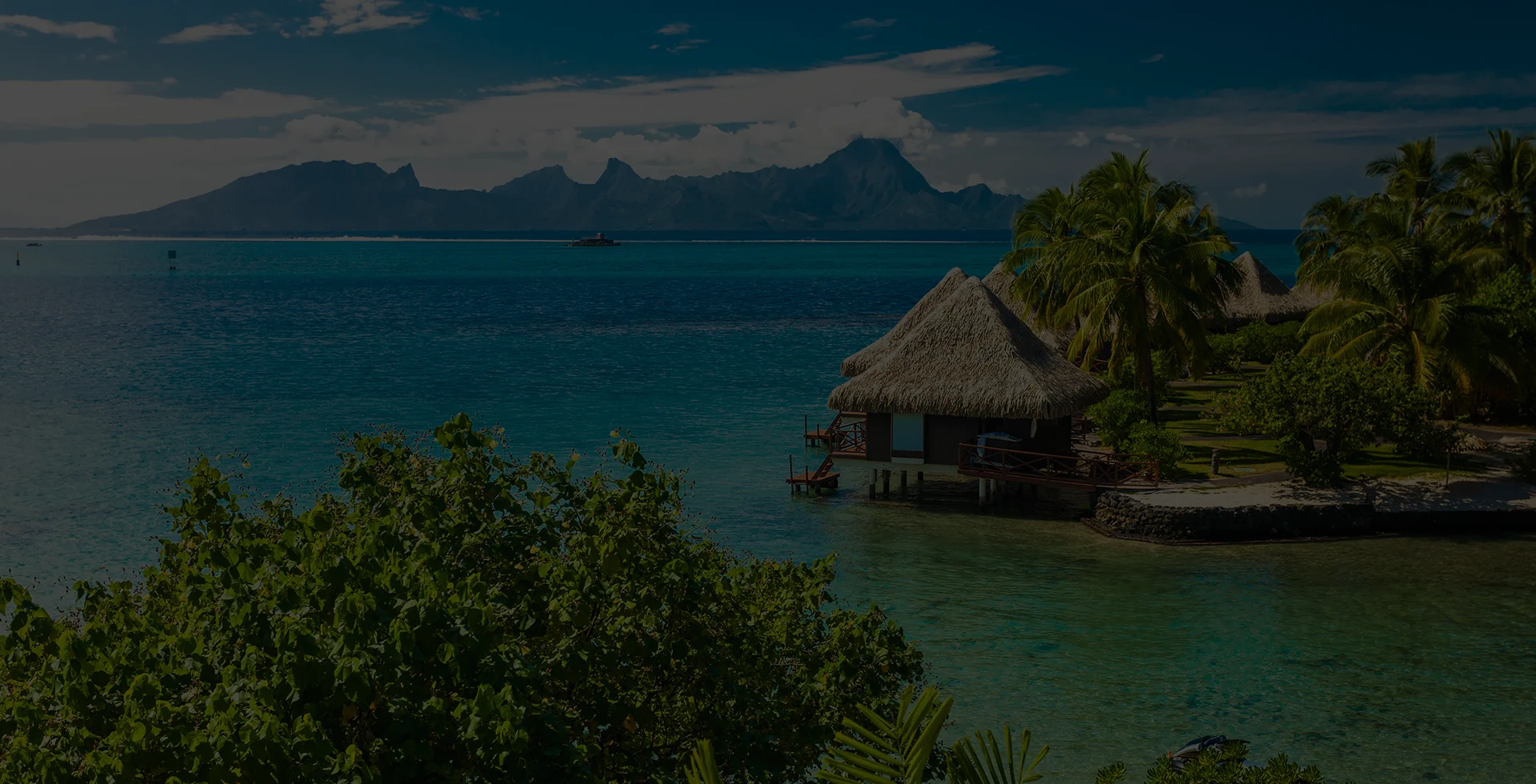 exploration des destinations tropicales et de leurs ecosystemes